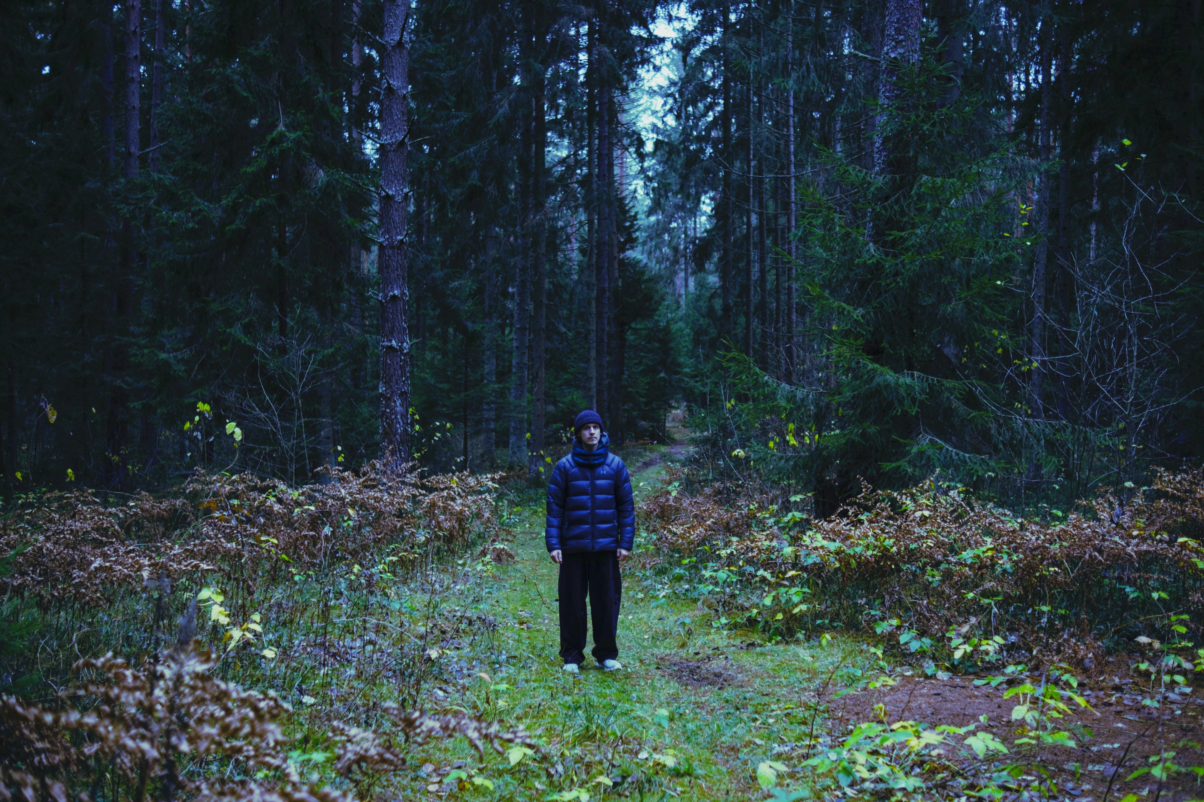 A person stands on a path in a dark forest.